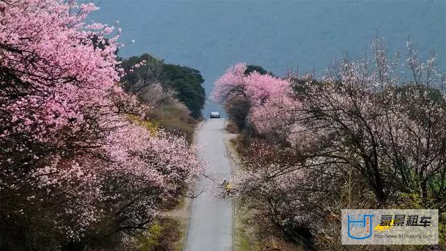 成都租車去拉薩提前預定很必要